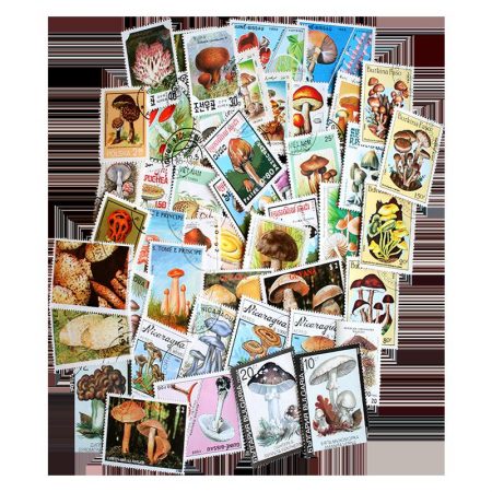 Mushroom Topical Stamp Collection 50 pc