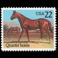 1985 U.S. #2155 - American Quarter Horse