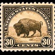30¢ Bison (1923) - olive brown