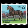1985 U.S. #2156 - American Morgan Horse