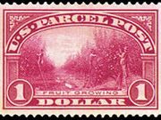United States Parcel Post Stamps - 1912 - 1913 All Printed in Carmine Rose - 1$ Fruit Growing