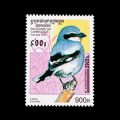 1997 Cambodia Northern Shrike Bird Stamp