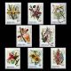 Set of 8 Orchids Stamps from Rwanda