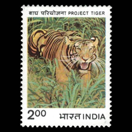 India 1038 Project Tiger Stamp